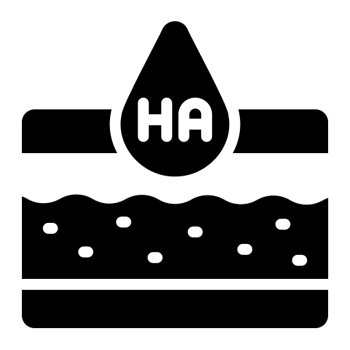 Hyaluronski boosteri
